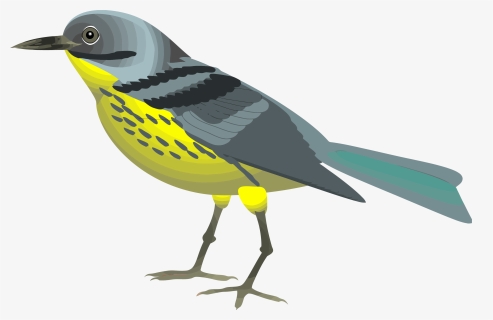 Bird 05 Svg Clip Arts - Realistic Birds Clip Art, HD Png Download, Free Download