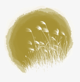 Transparent Feather Reed Grass Png - Ink, Png Download, Free Download
