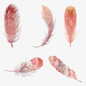 Scrapbooking, Feathers, Elements, Arrow, Bohemian - Pink Boho Feather Clipart, HD Png Download, Free Download