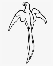 Parrot - Outline Of A Parrot, HD Png Download, Free Download