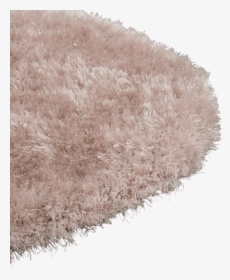 Transparent Feather Reed Grass Png - Carpet, Png Download, Free Download