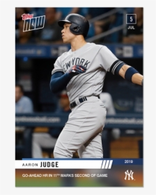Aaron Judge - College Baseball, HD Png Download, Free Download