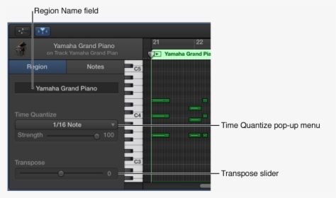 Piano Roll Editor Inspector In Region Mode, Showing - Piano Roll Garageband, HD Png Download, Free Download