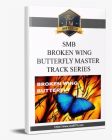 Transparent Broken Wing Png - Parker Walbeck Become A Full Time Filmmaker, Png Download, Free Download