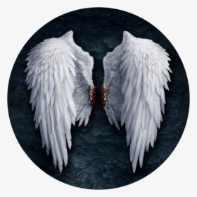 Realistic White Angel Wings, HD Png Download, Free Download