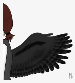 Condor Drawing Face - Accipitridae, HD Png Download, Free Download