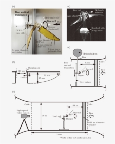 Diagram, HD Png Download, Free Download