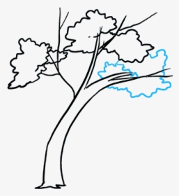 How To Draw Falling Leaves - Easy To Draw Fall Tree, HD Png Download, Free Download