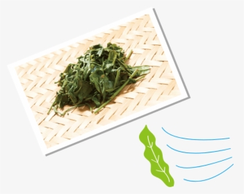 Water Spinach, HD Png Download, Free Download