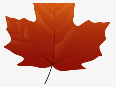 Fall Leaves Maple Clipart, HD Png Download, Free Download