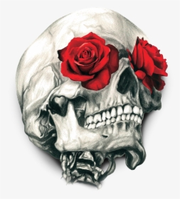 Skull Calavera T-shirt Human Rose Symbolism Clipart - Skull With Roses Png, Transparent Png, Free Download