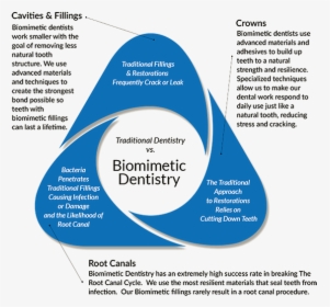 Biomimetic Dentistry - Biomimetic Dental, HD Png Download, Free Download