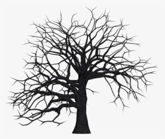 Tree, Digital Art, Isolated, Without Leaves, Leafless - Dead Trees Clip Art, HD Png Download, Free Download