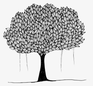 This Free Icons Png Design Of Tree With Leaves - Tree With Leaves Clipart Black And White, Transparent Png, Free Download