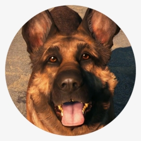 Dogmeat - Fallout 4 Cute Dogmeat, HD Png Download, Free Download