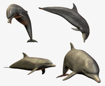 Dolphin Clipart Diving Dolphin - Dolphin Transparent Jumping, HD Png Download, Free Download