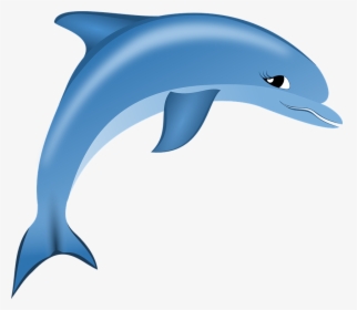 Dolphin,bottlenose Dolphin,short Beaked Common Dolphin,common - Dolphin Logo Png, Transparent Png, Free Download