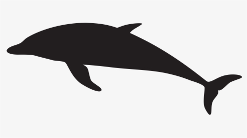 Clipart Png Dolphin - Dolphin Silhouette Png, Transparent Png, Free Download