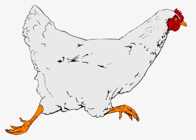 Chicken Clip Art, HD Png Download, Free Download