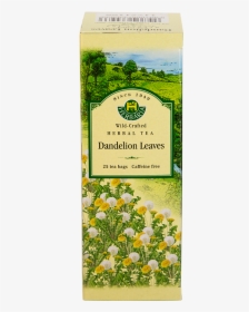 Herbaria-dandelion - Tea, HD Png Download, Free Download