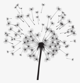 Dandelion, HD Png Download, Free Download