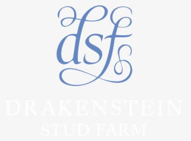 Drakenstein Stud, HD Png Download, Free Download