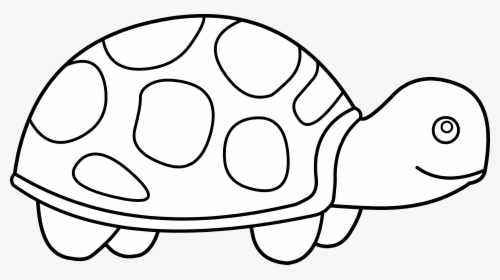 Cute Snake Clipart Black And White - Turtle Clipart Outline, HD Png Download, Free Download