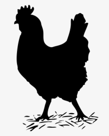 Black Chicken Clipart - Hen Black And White Png, Transparent Png, Free Download
