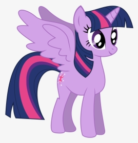 Twilight Sparkle - Twilight Sparkle My Little Pony Characters, HD Png Download, Free Download