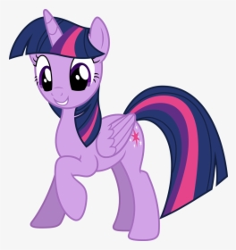 My Little Pony Fan Fiction Wiki - Twilight Sparkle My Little Pony Ponies, HD Png Download, Free Download