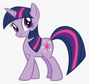 Mlp How Well Do You Know Twilight Sparkle - Little Pony Twilight Sparkle Princess, HD Png Download, Free Download