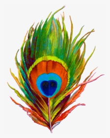 Bansuri With Peacock Feather Png - Peacock Feather Png Logo, Transparent Png, Free Download