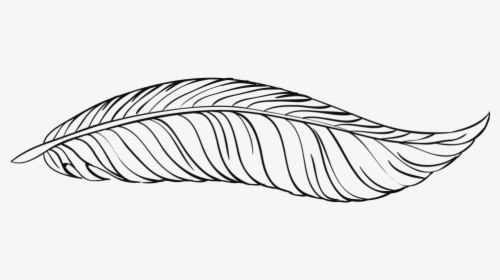 Pen, Feathers, Bird, Animal, Beautiful, Peacock - White Feather Png Illustration, Transparent Png, Free Download
