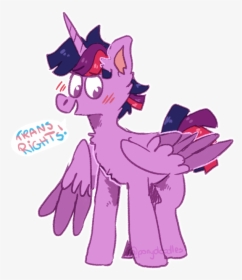 Twi Said Trans Rights Babey Twilight Sparkle - Cartoon, HD Png Download, Free Download
