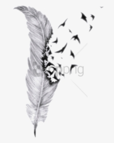 Transparent Feather Png Free - Feather With Birds Tattoo Design, Png Download, Free Download
