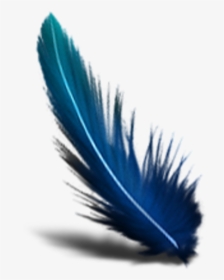 Transparent Background Feather Png, Png Download, Free Download