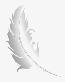 White Feather Free Png Image - Illustration, Transparent Png, Free Download