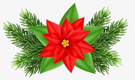 Clip Art Christmas Poinsettia, HD Png Download, Free Download