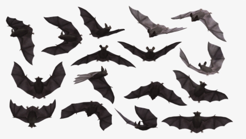 Bat, Bats, Flying, Mammal, Scary, Creepy, Eerie - Bat Flying Cartoon Png, Transparent Png, Free Download