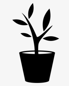 Plant In A Pot Comments - Plant Clipart Black And White, HD Png Download, Free Download
