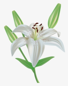 Lily Flower Clipart Image Gallery Yopriceville High - Lily Flower Clipart, HD Png Download, Free Download