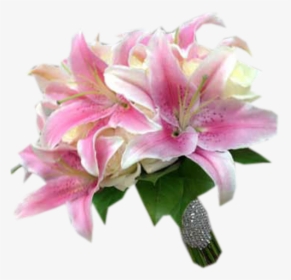 Lily Rose Flower, HD Png Download, Free Download