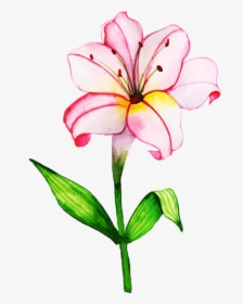 Free Png Floral Bouquets - Lily, Transparent Png, Free Download