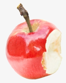 Image - Apple Waste Png, Transparent Png, Free Download