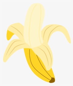 Transparent Banana Peel Png - Stargazer Lily, Png Download, Free Download
