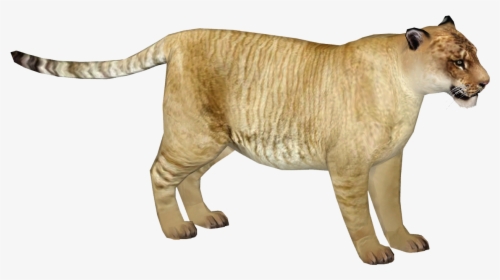 Liger Png, Transparent Png, Free Download