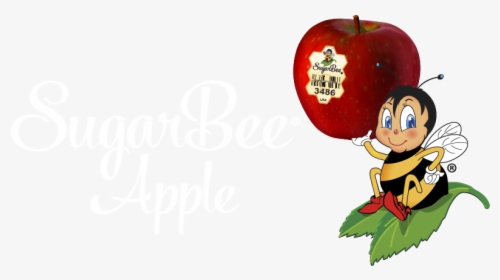 Sugarbee Apple, HD Png Download, Free Download