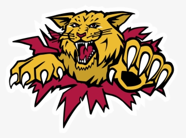 Hd Moncton Wildcats Logo - Moncton Wildcats Logo, HD Png Download, Free Download