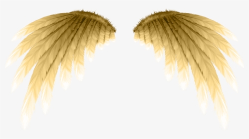 #golden #wings #freetoedit - Крылья Ангела На Прозрачном Фоне, HD Png Download, Free Download