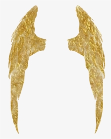 #sticker Of My #golden #wings - Fish, HD Png Download, Free Download